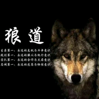 开着拖拉机去过冬头像