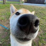 用户4286351458367的个人资料头像