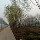 Wind君52408的个人资料头像