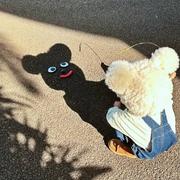Per730的个人资料头像