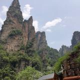 炳哥5443头像