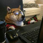 AaronChen839的个人资料头像