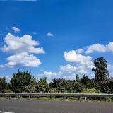 用户621671716981头像
