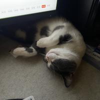 用户8652284210852头像