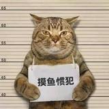 吃屁头像