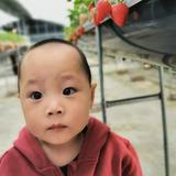 信腾达李冬琪头像