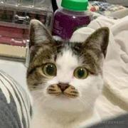 Ebeam的个人资料头像