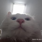 Tomorrow979的个人资料头像