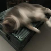 南南北西西东的个人资料头像