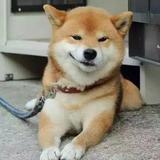 据说近视头像