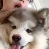 小结巴145头像