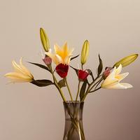 润物无声7l0Z头像