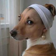 crystal_pin的个人资料头像