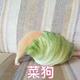 童锦程lrm · 帕萨特车主·车龄半年头像