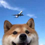 qs今天学习了吗的个人资料头像