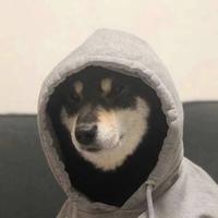 A不晚791头像