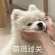 用户11273874217头像