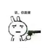 你是猪5915头像