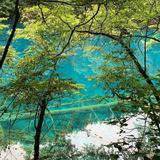 一丝不苟钢笔au4头像