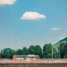 本尊106323的个人资料头像