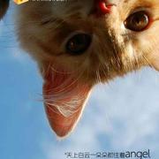 用户3337894509972的个人资料头像