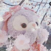 芝士小年糕601头像