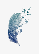 鸿羽的个人资料头像