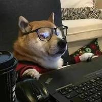 用户3309592518105头像