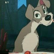 _Midnigh的个人资料头像