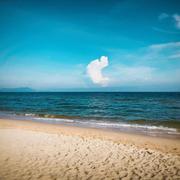 单欣的个人资料头像