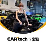 美丽的大头鲨头像