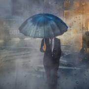 土狗夜里不睡觉的个人资料头像