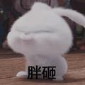 littlestar131064631头像
