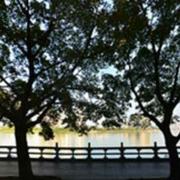 klvchen的个人资料头像