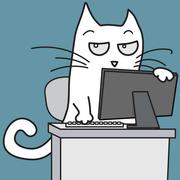 victe的个人资料头像