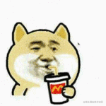 休hhh的个人资料头像