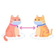 liam的个人资料头像