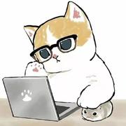 韭菜苗苗的个人资料头像
