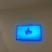 用户6773093236002头像