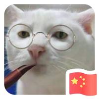 加肥猫Iván头像