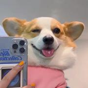 盛盛最可爱的个人资料头像