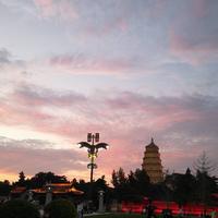 用户7388757634126头像