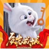 大灰灰218头像
