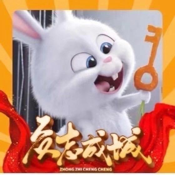 大灰灰218头像