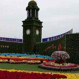 双人行232头像