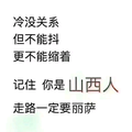 如禹得水头像