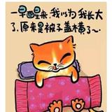 用户9393386150031头像