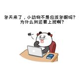 大表哥7838头像