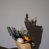 小魚儿今天开车了吗头像