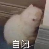 槐头像
